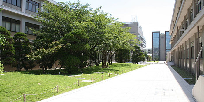 徳島大学