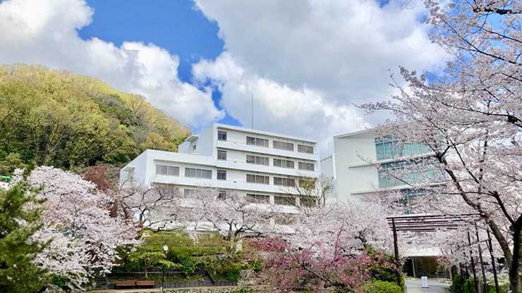 神戸薬科大学の校舎と桜
