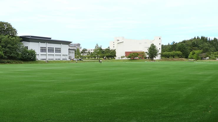 ノースアジア大学の芝生