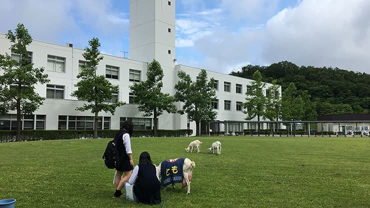 尚絅学院大学の校舎