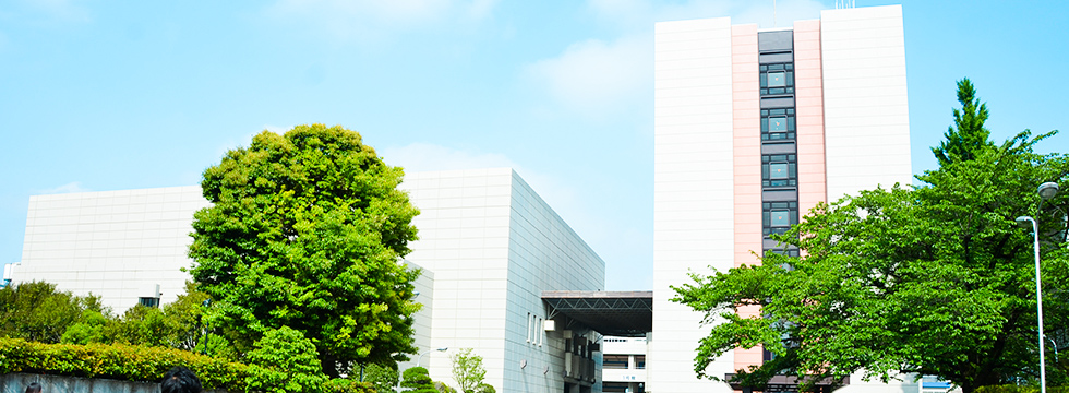 駒澤大学で入りやすい穴場学部はどこ？偏差値や倍率を徹底調査！